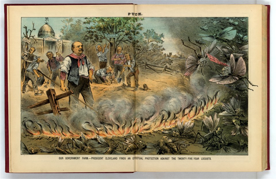 Our government farm - President Cleveland finds an effectual protection against the twenty-five-year locusts - Zimmerman. LCCN2011660540