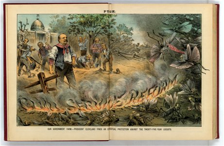 Our government farm - President Cleveland finds an effectual protection against the twenty-five-year locusts - Zimmerman. LCCN2011660540