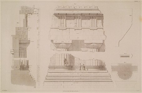 Outer peristyle of the Temple of Zeus at Agrigento Sicily- Fig 1- View of crepidoma, base of the column, column, capital - Cockerell Charles Robert Kinnard William Donaldsonthomas Leverton Jenkins William Railton William - 1830