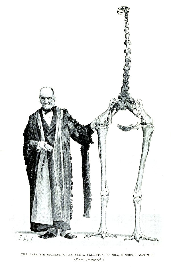 Owen Moa