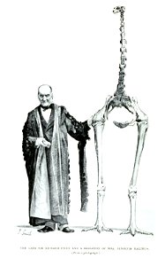 Owen Moa