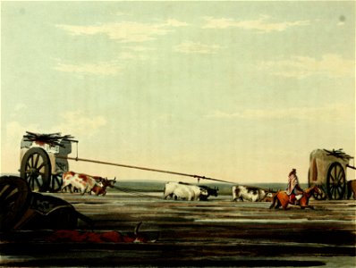 Oxcart traversing quagmire