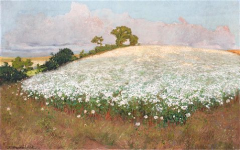 Fritz Overbeck - Buchweizenfeld I (ca. 1897)