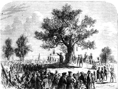 P109 The Colonists Under Liberty Tree