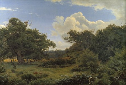 P.C. Skovgaard - Oak Trees in Nordskoven near Jægerspris, Zealand - KMS413 - Statens Museum for Kunst