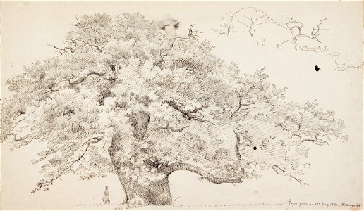 P.C. Skovgaard,Storkeegen, Jægerspris, 1842, 362, Skovgaard Museet