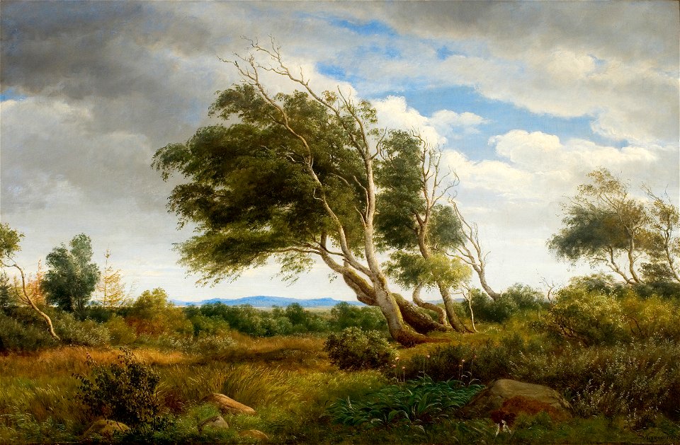 P.C. Skovgaard, Parti fra udkanten af Tisvilde Skov, 1845, 10175, Skovgaard Museet