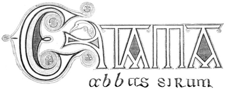P135-c-Anglo-Saxon Writing of the Sixth Century