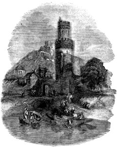 P186 View on the Rhine