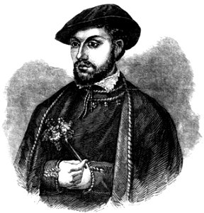 P330 Dudley, Duke of Northumberland