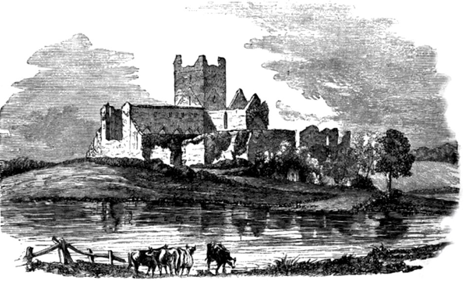 P330 DUNBRODY ABBEY, NEAR WATERFORD