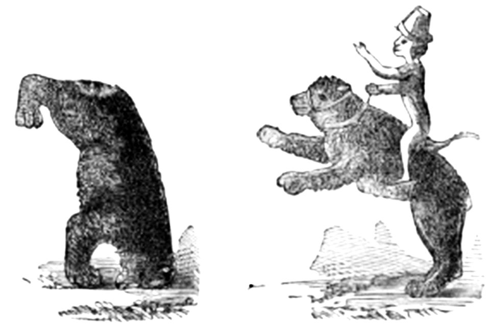 P471-Dancing Bears and Monkey 13th Century