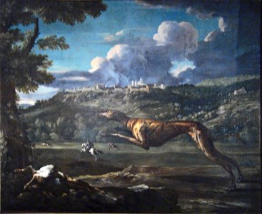 Pace, Greyhound, hare, and the castle of Ariccia 1
