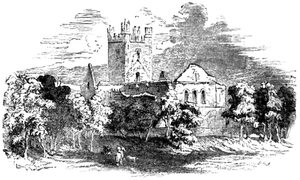 P30 Old Abbey, Waterford