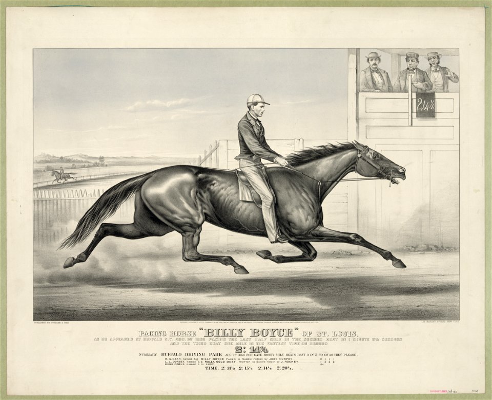 Pacing horse Billy Boyce of St. Louis- as he appeared at Buffalo N.Y. Aug 1st 1868 pacing the last half mile in the second heat in 1 minute 5 1-4 seconds and the third heat one mile in the LCCN2001700550