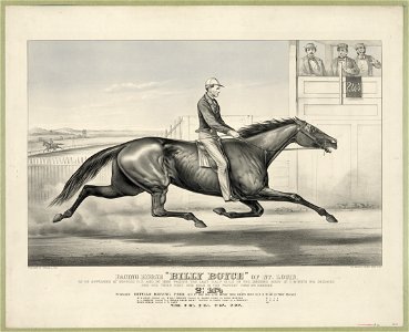 Pacing horse Billy Boyce of St. Louis- as he appeared at Buffalo N.Y. Aug 1st 1868 pacing the last half mile in the second heat in 1 minute 5 1-4 seconds and the third heat one mile in the LCCN2001700550