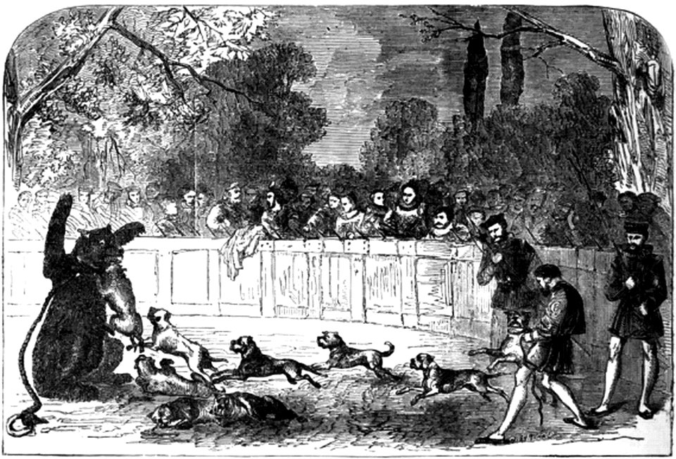 P486 Bear-baiting as practised in the time of Queen Elizabeth