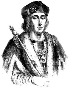 P78-Henry VII