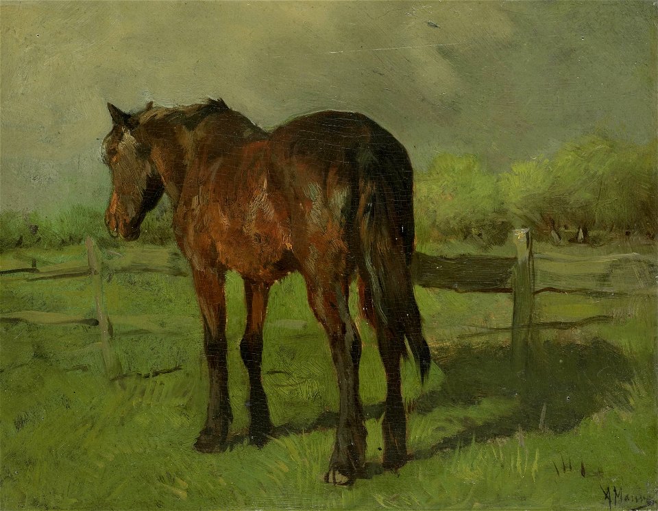 Paard Rijksmuseum SK-A-2435