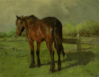 Paard Rijksmuseum SK-A-2435