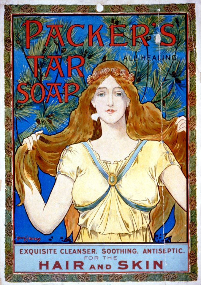 Packer's tar soap...for the hair and skin - Louis J. Rhead LCCN2002721208