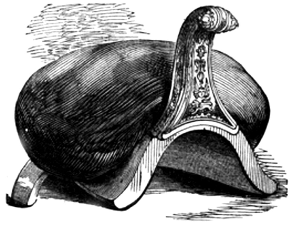 P619b Side-Saddle of Queen Elizabeth