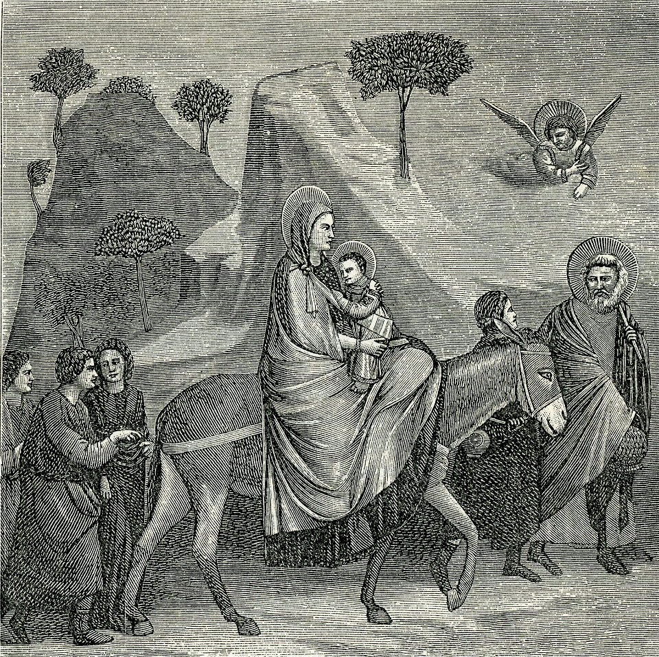 Padova la Fuga in Egitto, affresco di Giotto