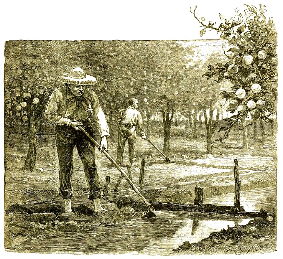 Page 339 Boy Travellers Australasia