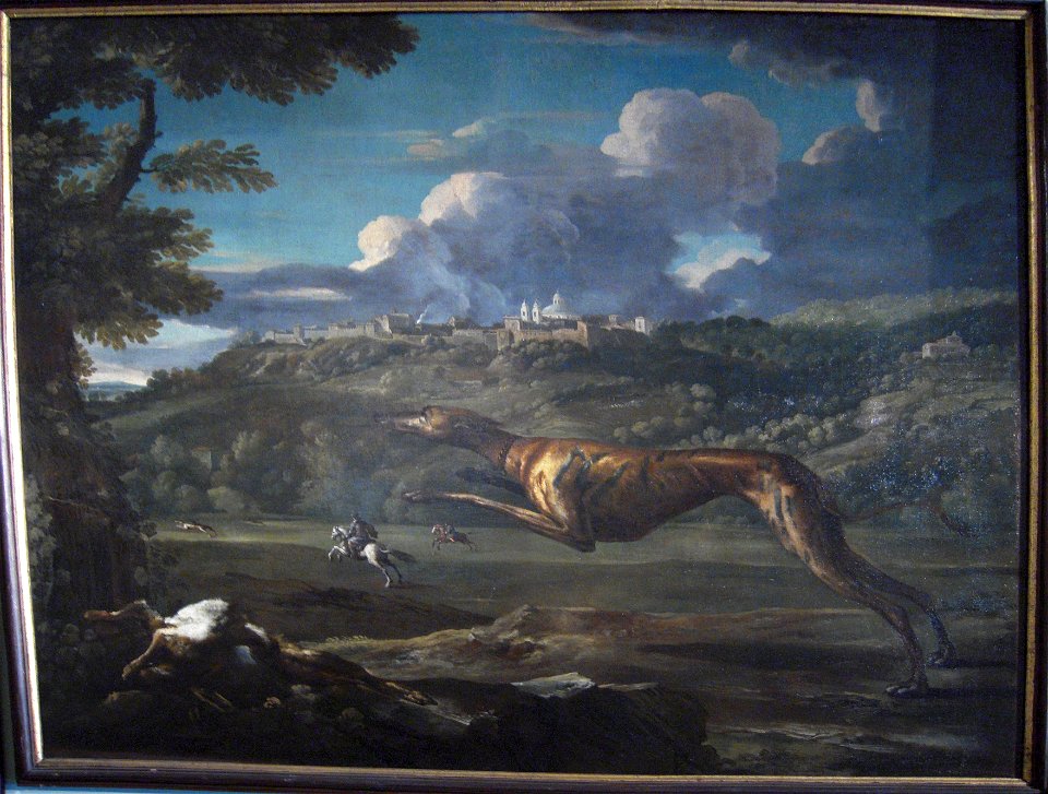 Pace, Michelangelo, Greyhound, rabbit, and the castle of Ariccia