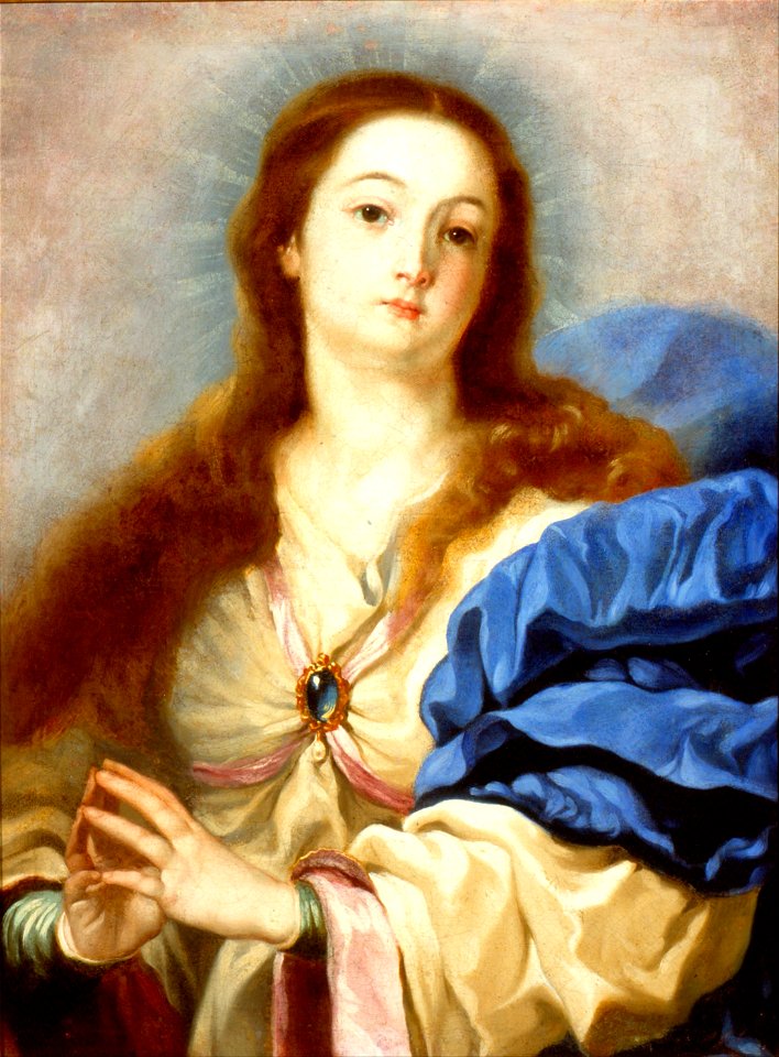 Padre Manuel El jesuita - The Immaculate Conception - Google Art Project