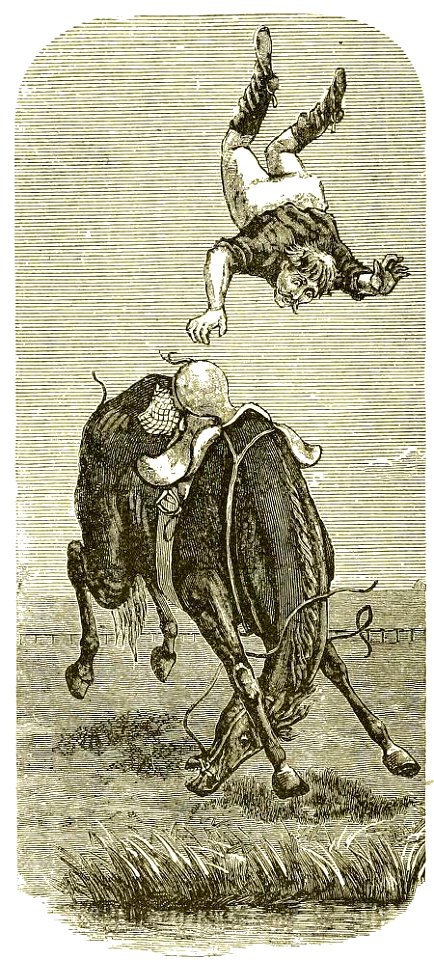 Page 394 Boy Travellers Australasia