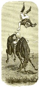 Page 394 Boy Travellers Australasia