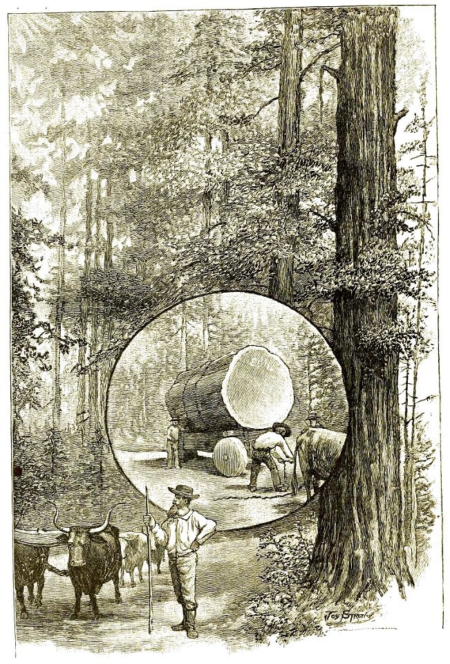 Page 282 Boy Travellers Australasia