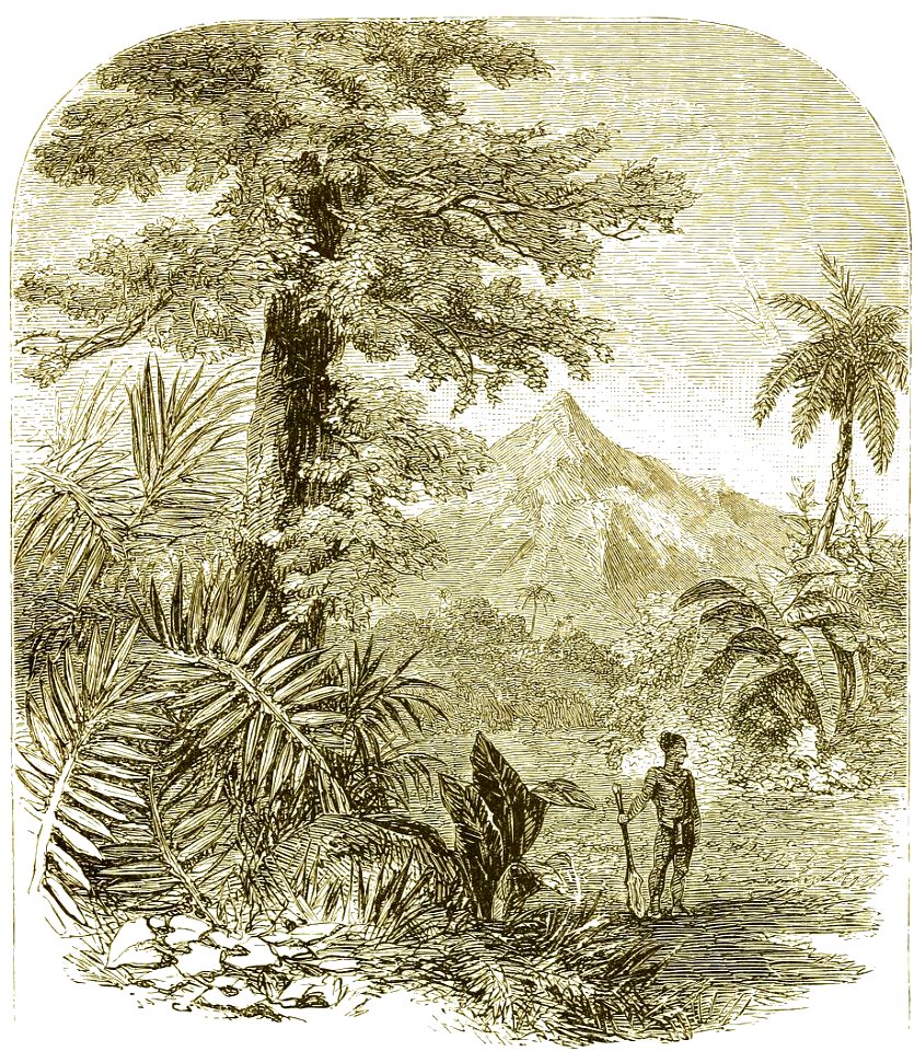 Page 079 Boy Travellers Australasia