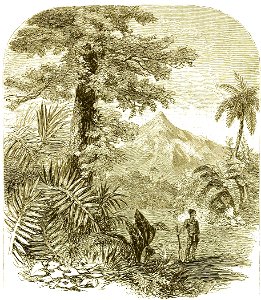 Page 079 Boy Travellers Australasia