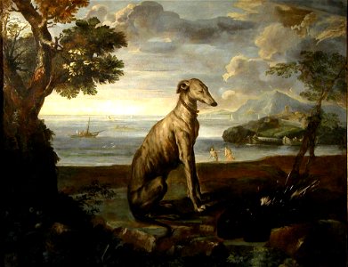 Pace, Greyhound and the manor of Porto Ercole