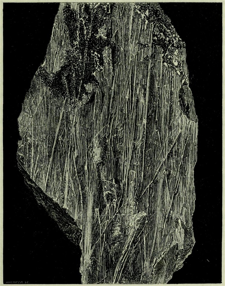 Page 181 - Scrambles amongst the Alps - Whymper
