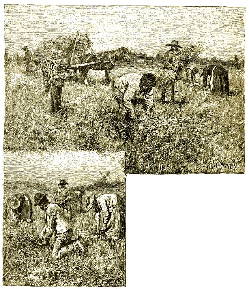 Page 288 Boy Travellers Australasia