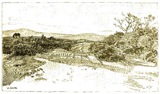 Page 471 Boy Travellers Australasia