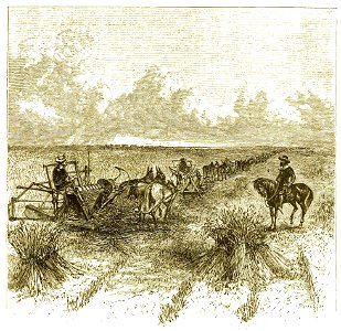 Page 533 Boy Travellers Australasia
