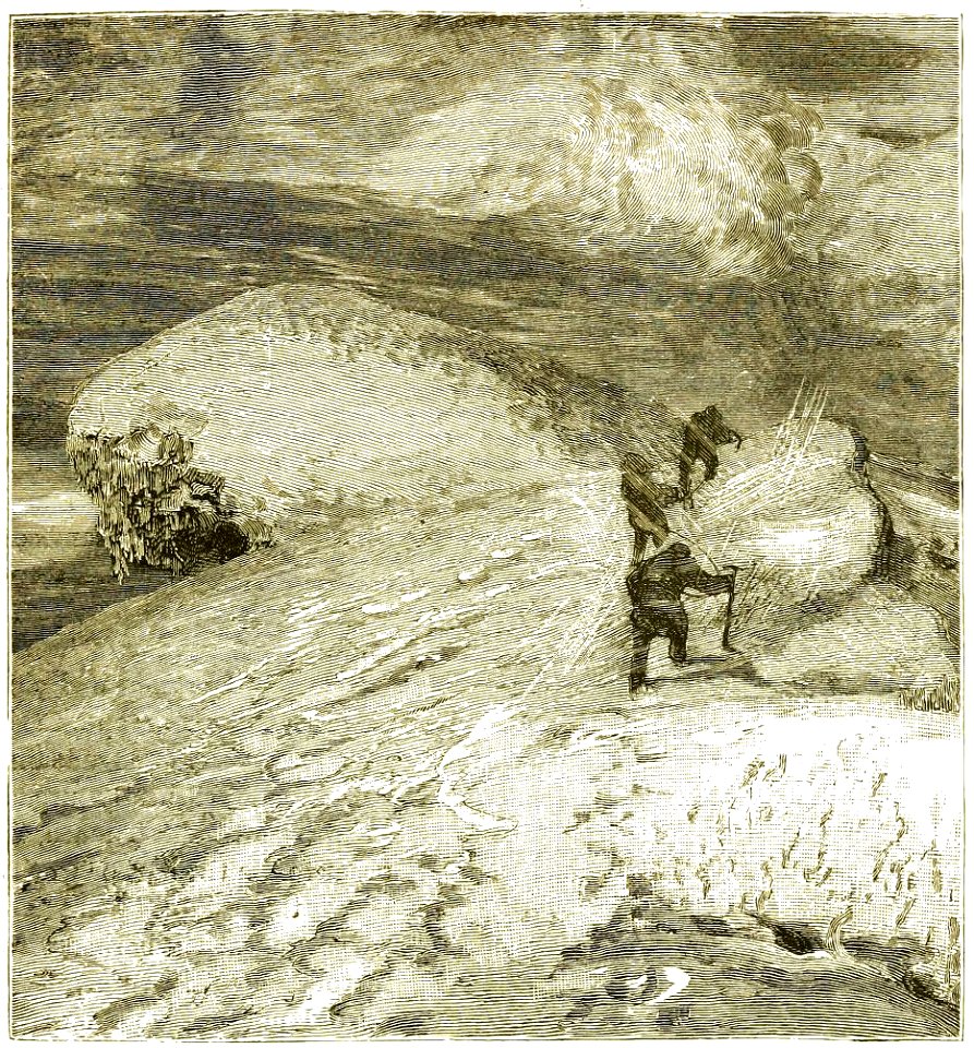 Page 309 Boy Travellers Australasia