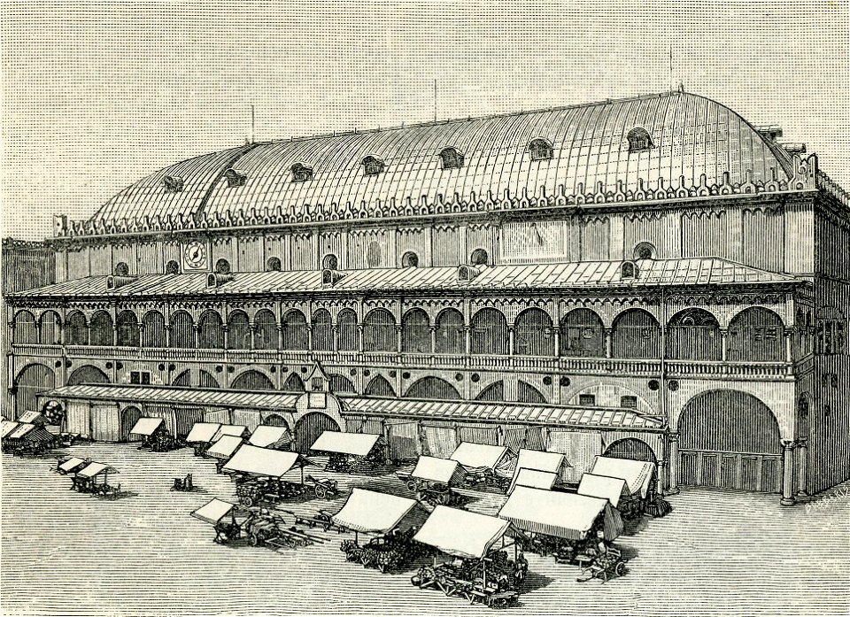 Padova Palazzo della Ragione xilografia