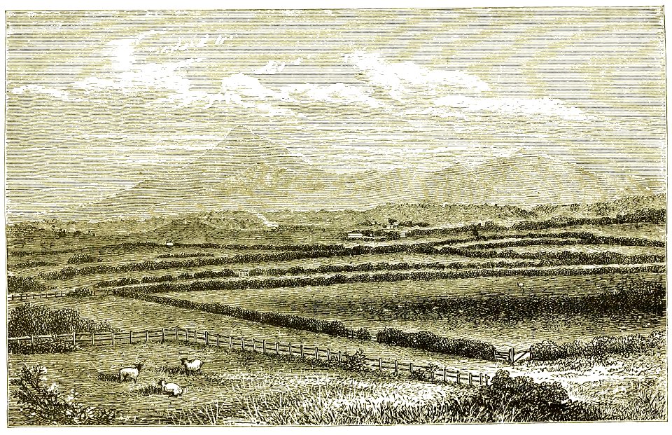 Page 285 Boy Travellers Australasia