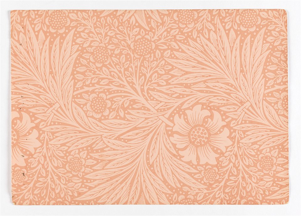 Page From Sample Book, Morris and Co., 1887 (CH 102200379)