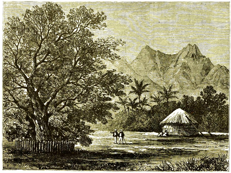 Page 121 Boy Travellers Australasia