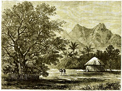 Page 121 Boy Travellers Australasia