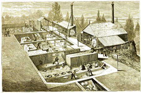 Page 419 Boy Travellers Australasia