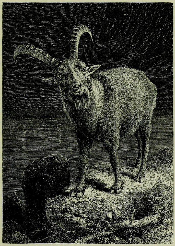 Page 353 - Scrambles amongst the Alps - Whymper