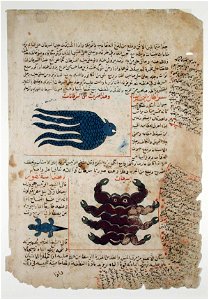 Page from the Aja'ib al-Makhluqat wa-gharaÃib al-mawjudat, or Wonders of Creatio (6124500043)