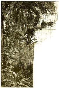 Page 360 Boy Travellers Australasia